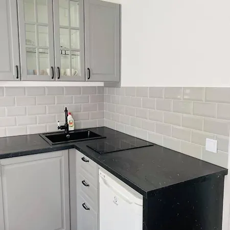 Apartamentai Vytauto G 103a Паланга